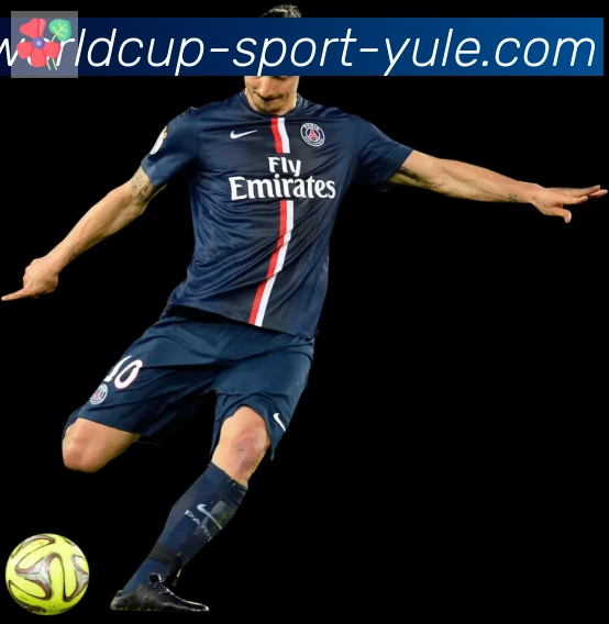 FIFA世界杯买球入口APP 封面图