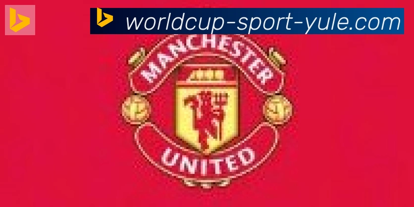 FIFA世界杯买球入口合作伙伴